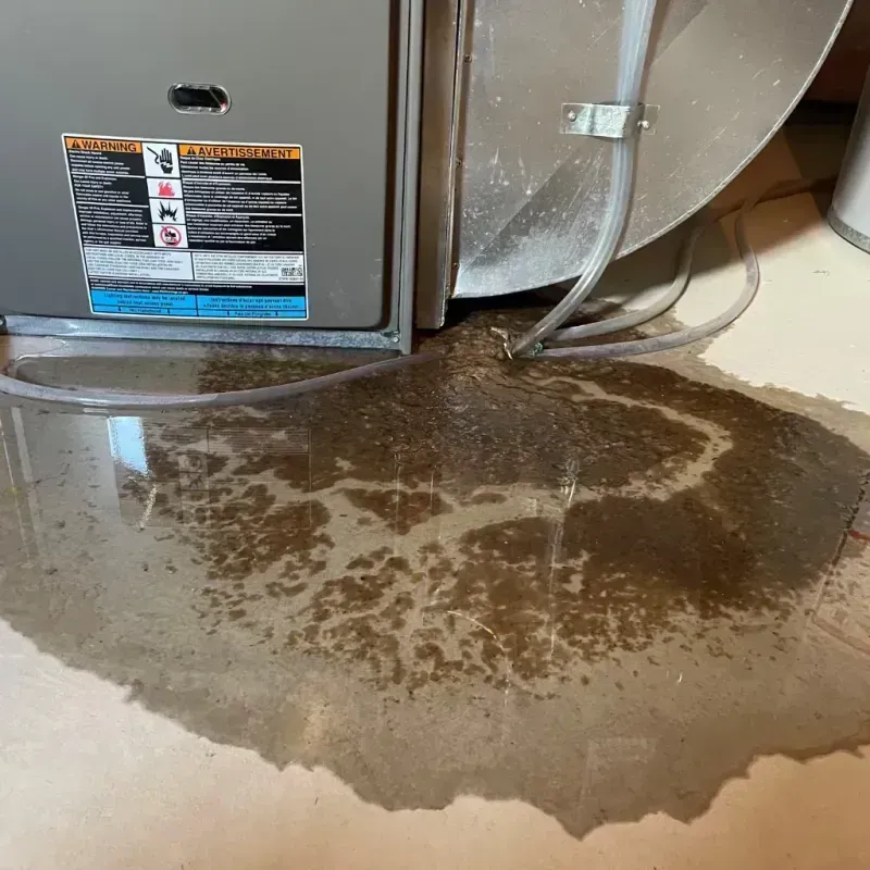 Appliance Leak Cleanup in Bedford, VA